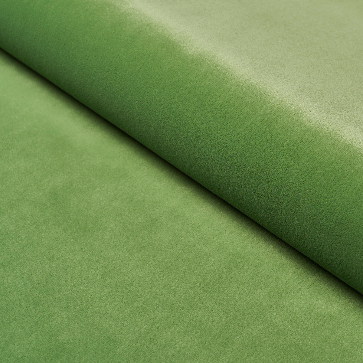 ALISTAIR-INDOOR-OUTDOOR-VELVET-GRASS-SCHUMACHER-84130
