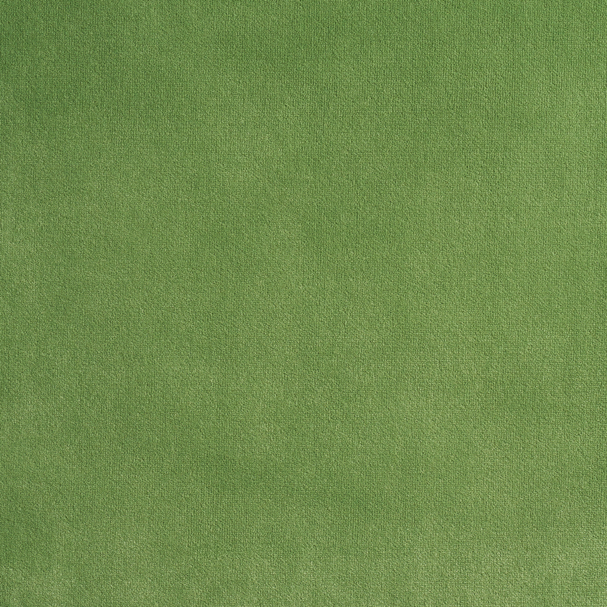 ALISTAIR-INDOOR-OUTDOOR-VELVET-GRASS-SCHUMACHER-84130