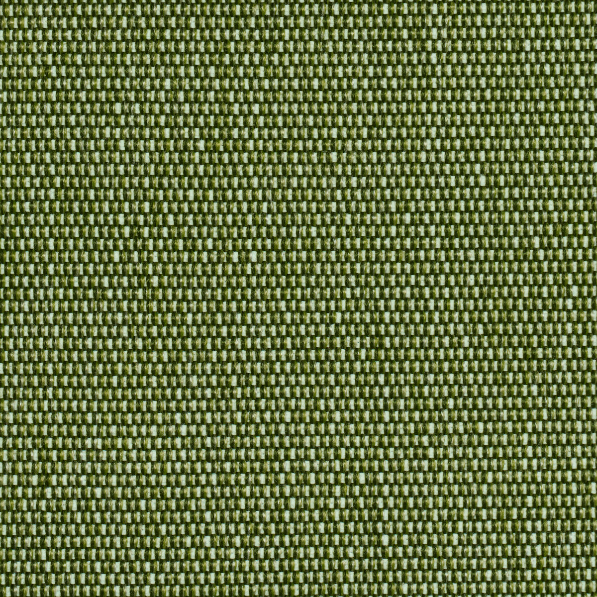 COOPER-INDOOR-OUTDOOR-GREEN-SCHUMACHER-84140