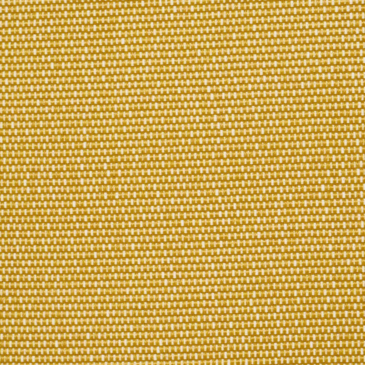 COOPER-INDOOR-OUTDOOR-YELLOW-SCHUMACHER-84141