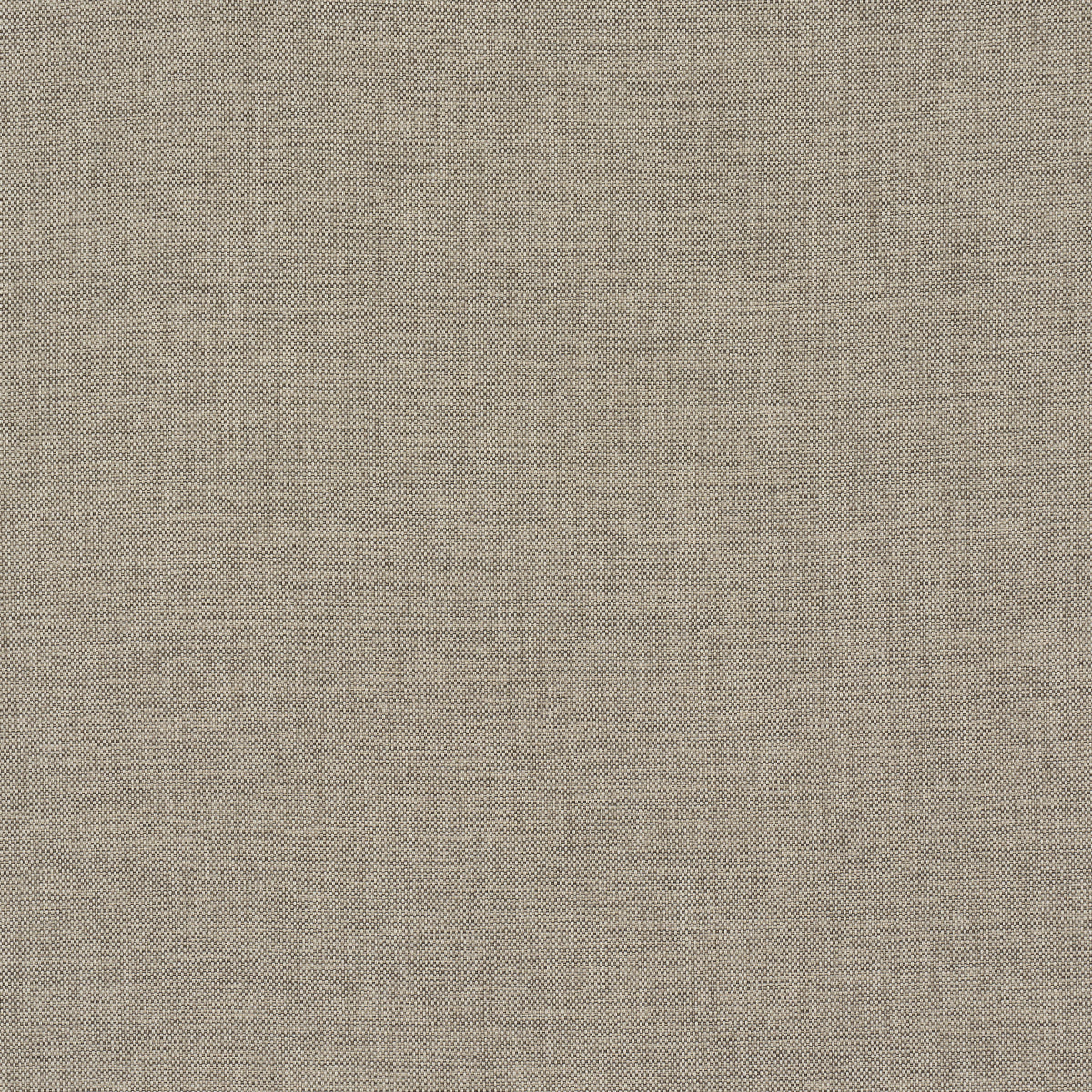 BROCK-INDOOR-OUTDOOR-BROWN-SCHUMACHER-84163