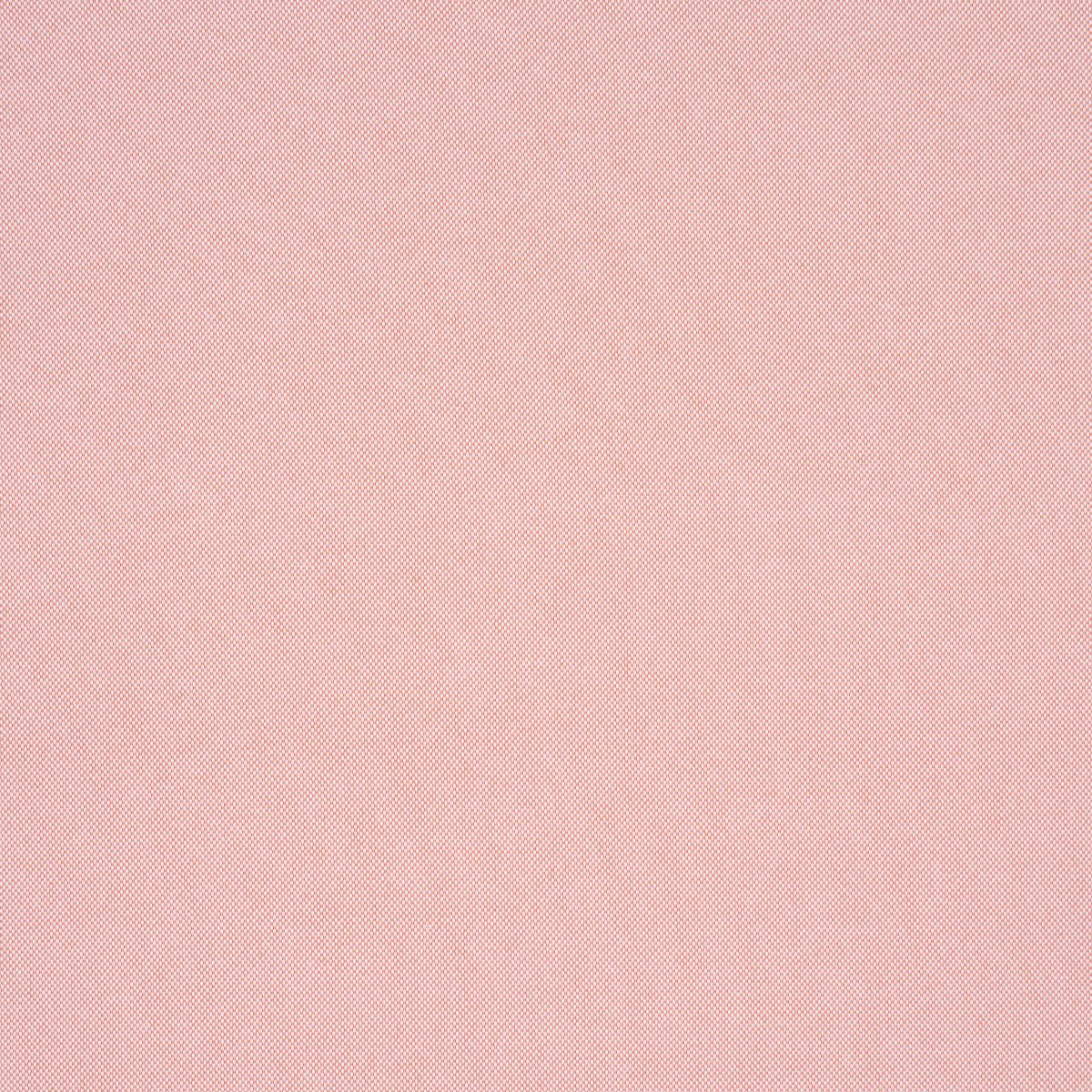 PIPPA-INDOOR-OUTDOOR-PETAL-SCHUMACHER-84170
