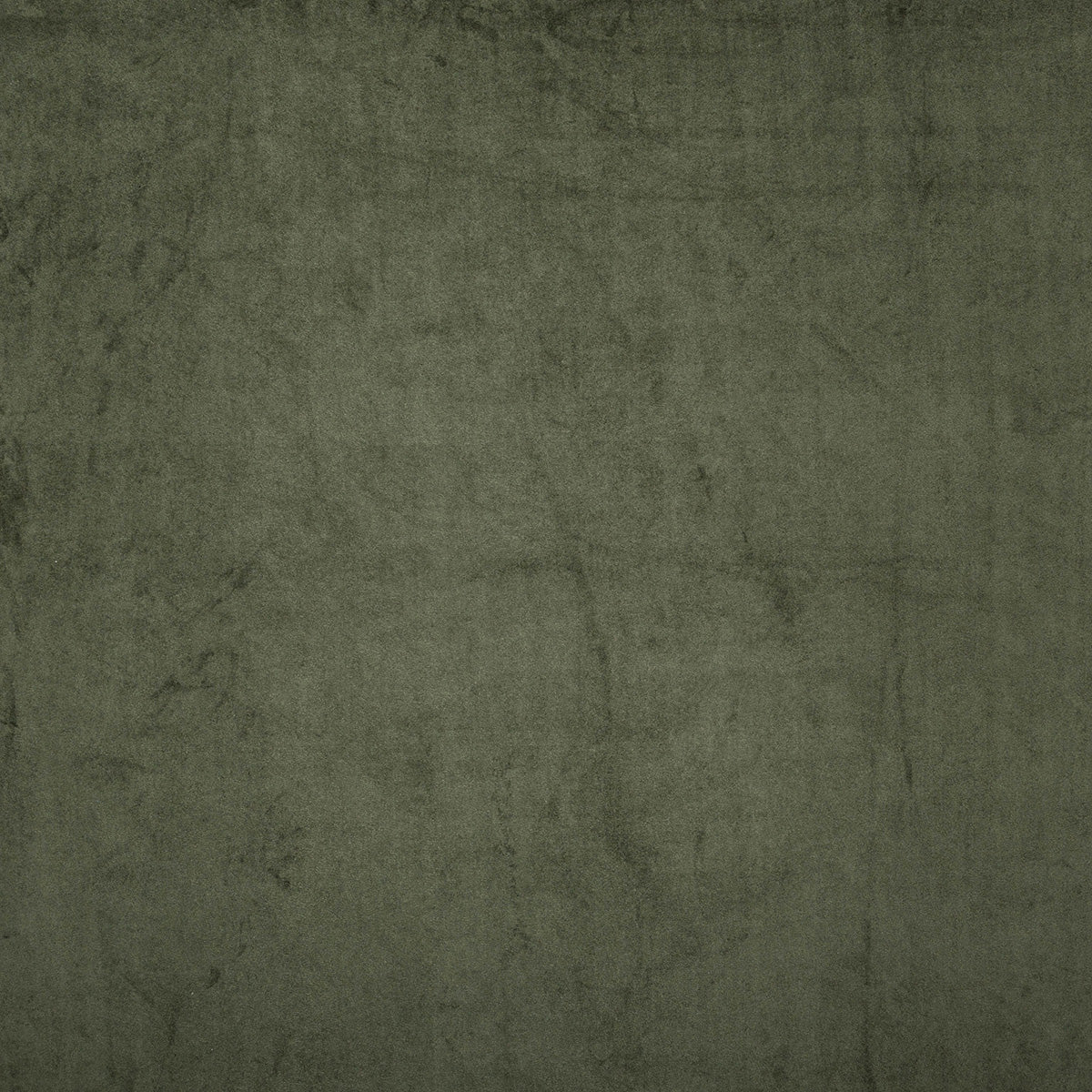 8422-virgil-pesto-pindler