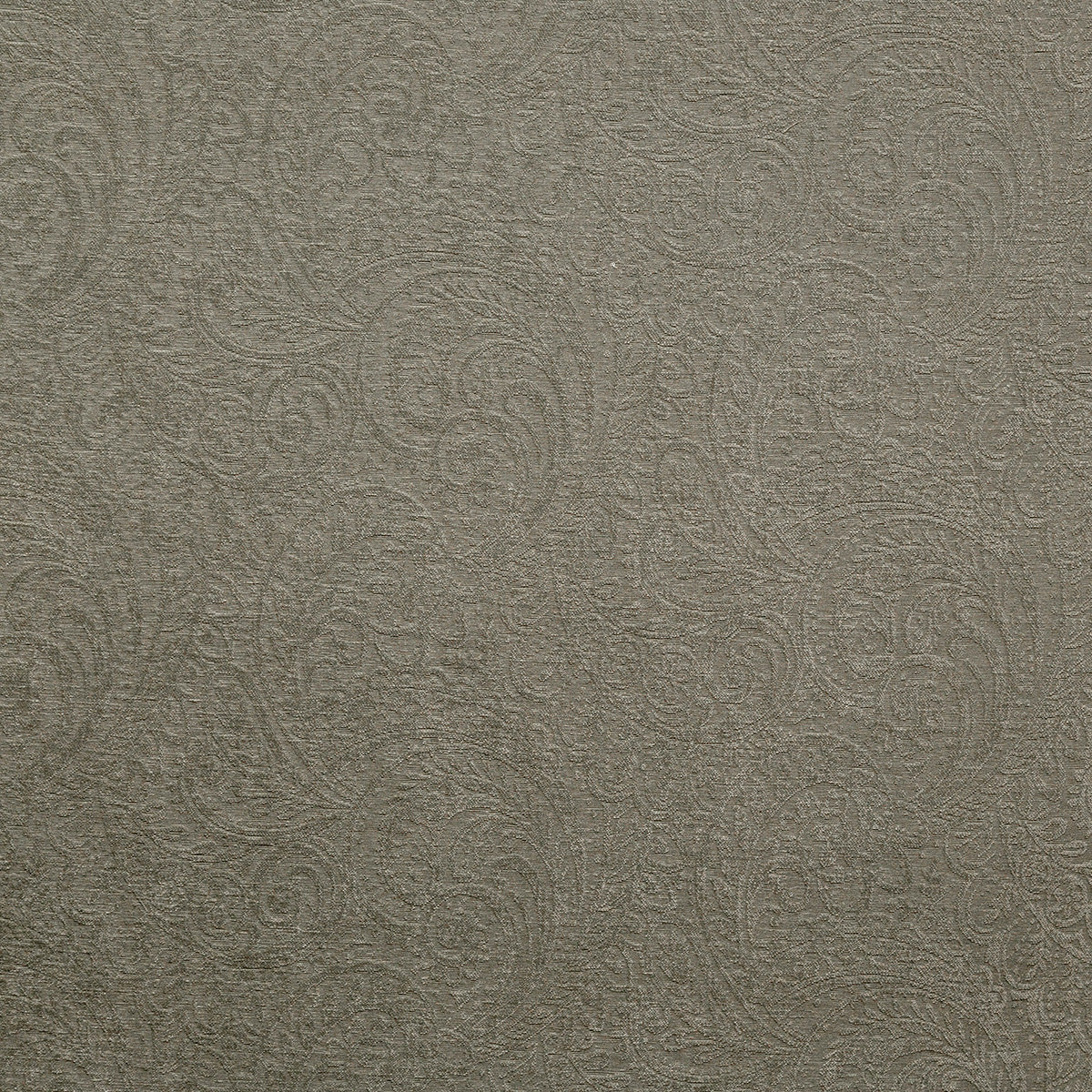 8483-bianca-moss-pindler