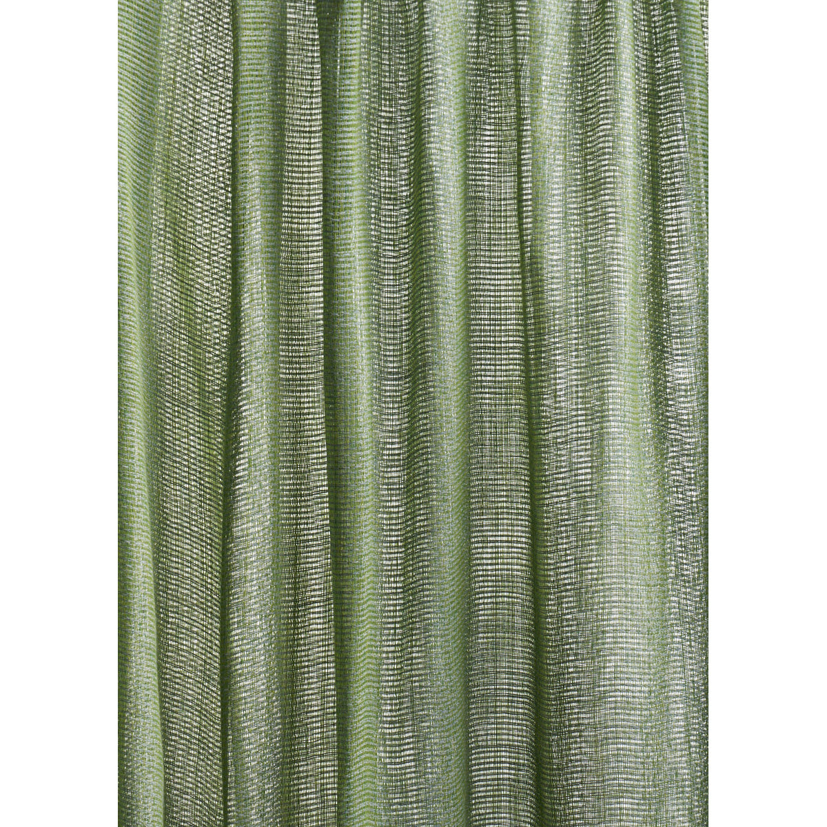 GREAT-BASIN-SHEER-CACTUS-SCHUMACHER-85088