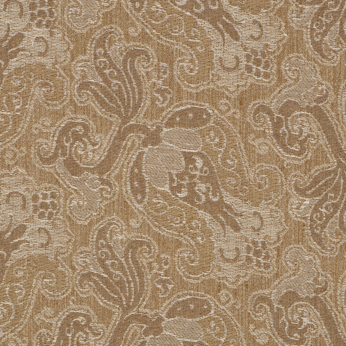 TULIPANO-CARAMEL-SCHUMACHER-85830