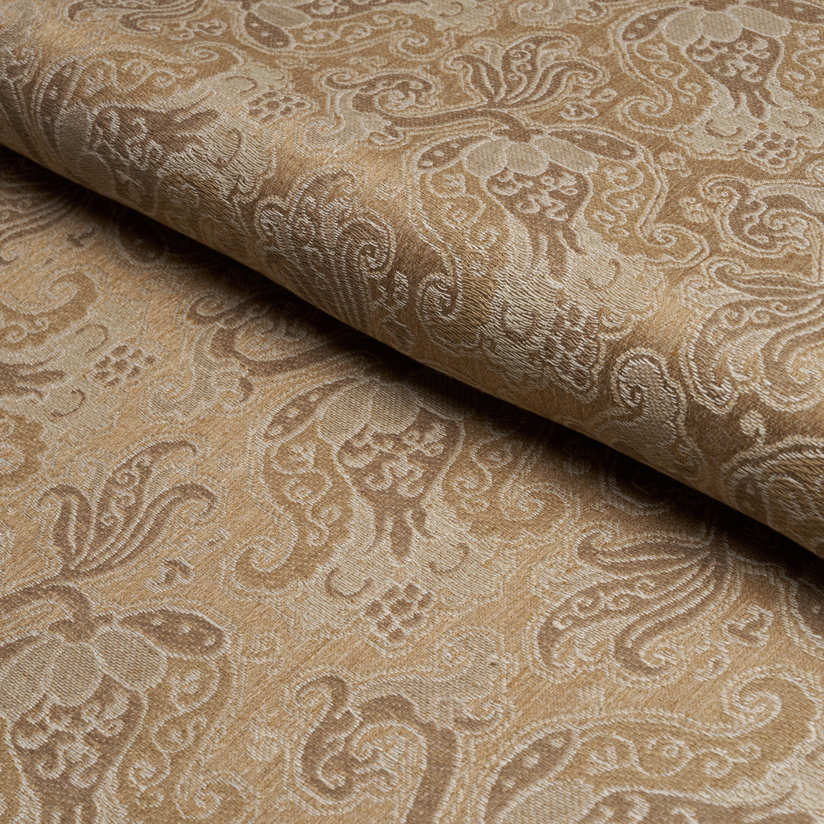 TULIPANO-CARAMEL-SCHUMACHER-85830