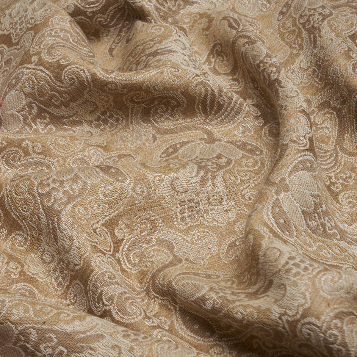 TULIPANO-CARAMEL-SCHUMACHER-85830