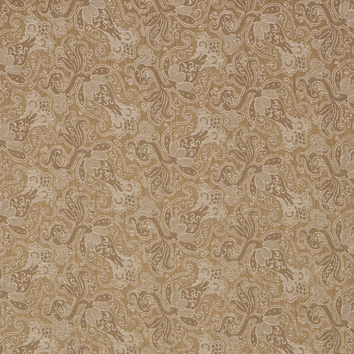 TULIPANO-CARAMEL-SCHUMACHER-85830