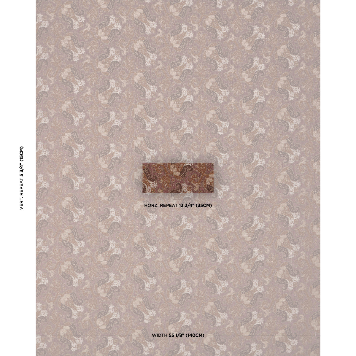 TULIPANO-ORCHID-SCHUMACHER-85832