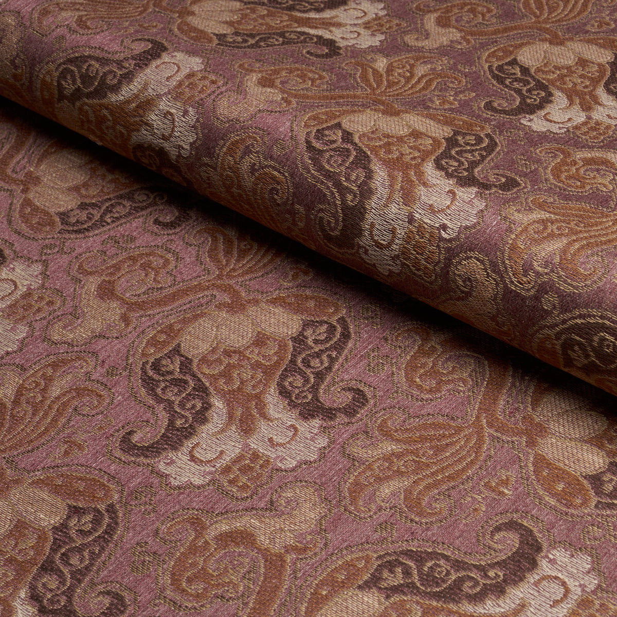 TULIPANO-ORCHID-SCHUMACHER-85832