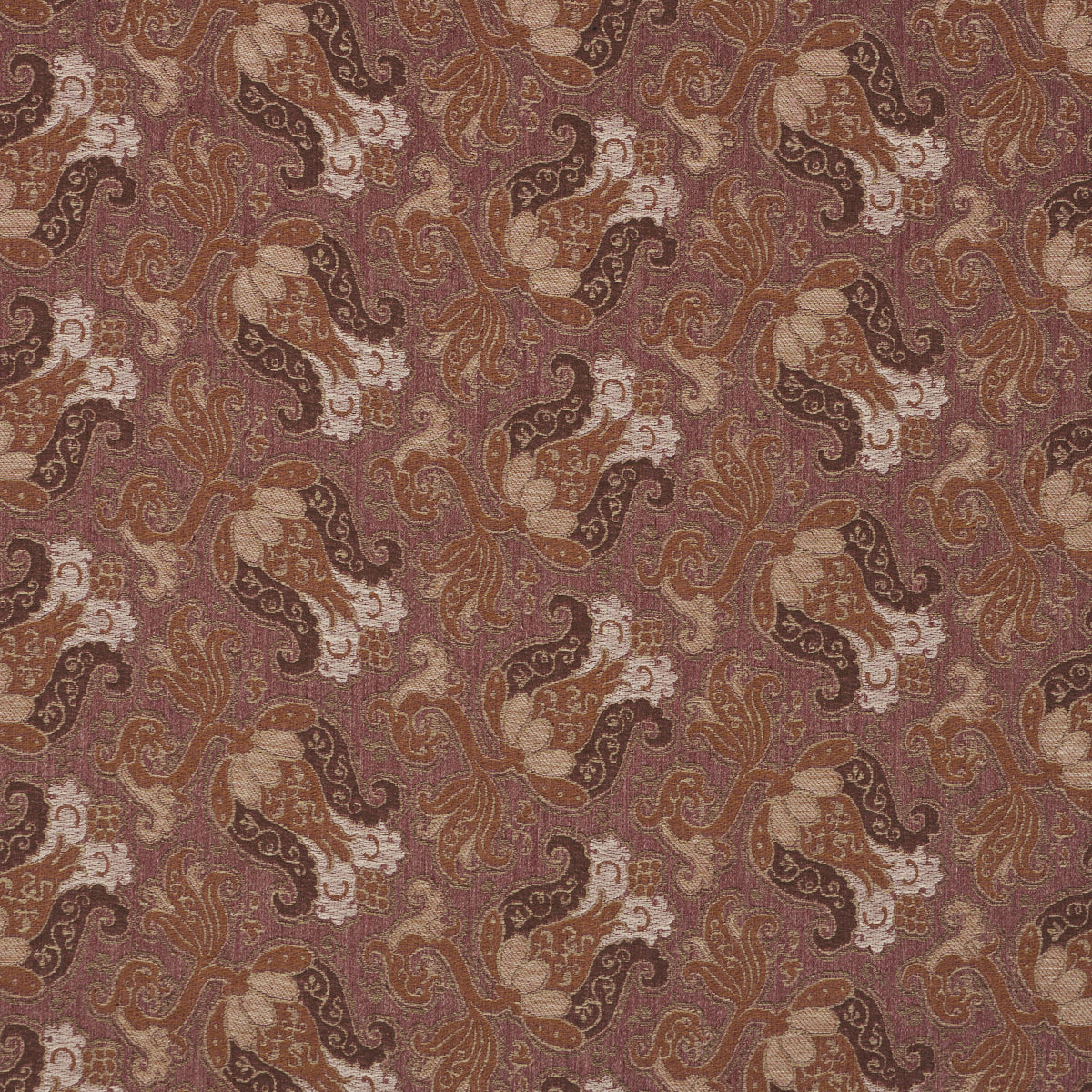 TULIPANO-ORCHID-SCHUMACHER-85832