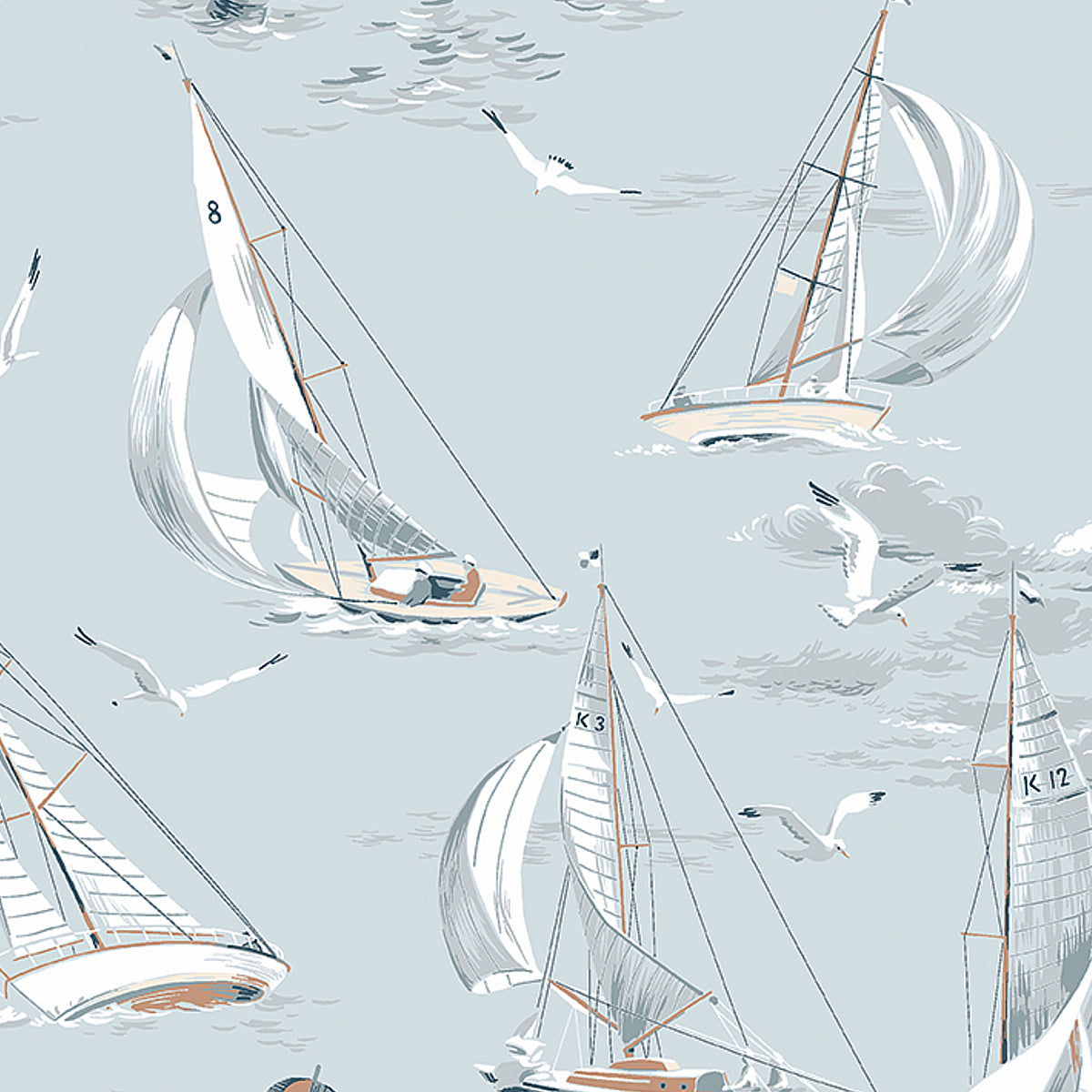 SAILBOATS-SKY-SCHUMACHER-8854