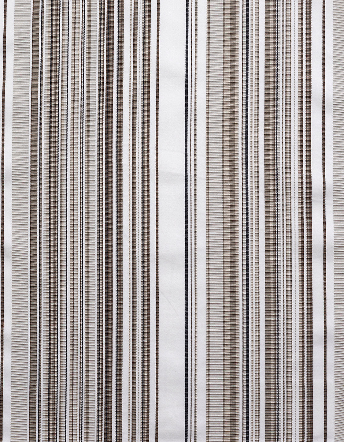 Stripe Mania - Bright Beige