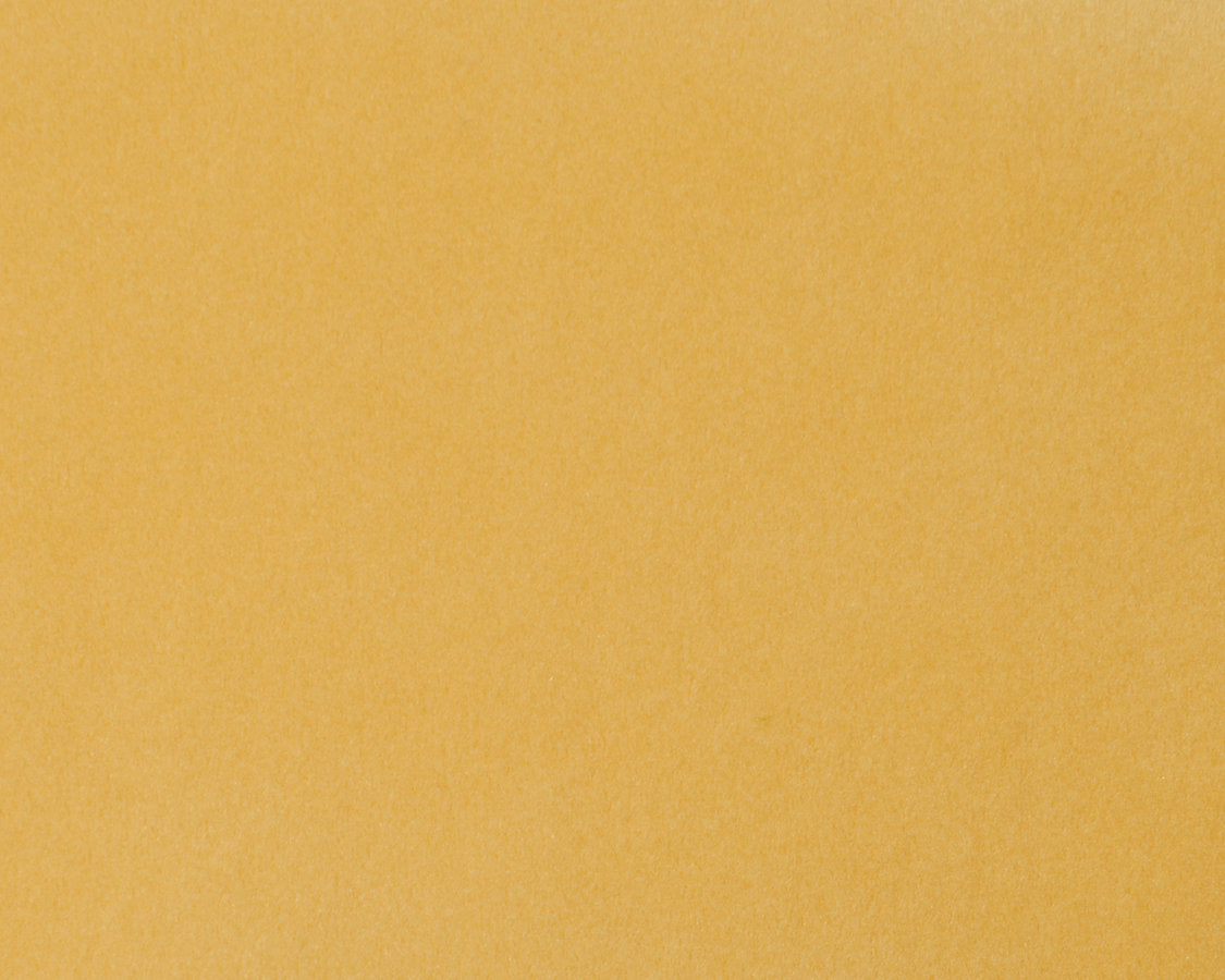 Safety Velvet - Chamomile - Scalamandre Fabric