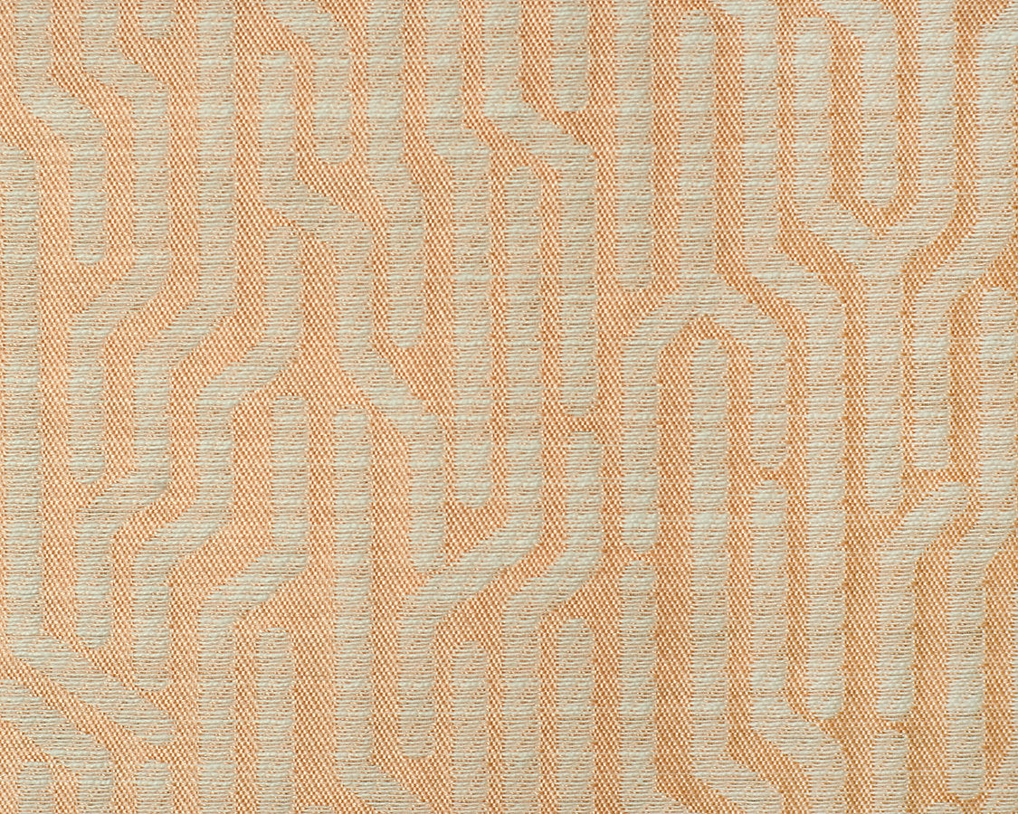 Tweeter - Coral Pink - Scalamandre Fabric