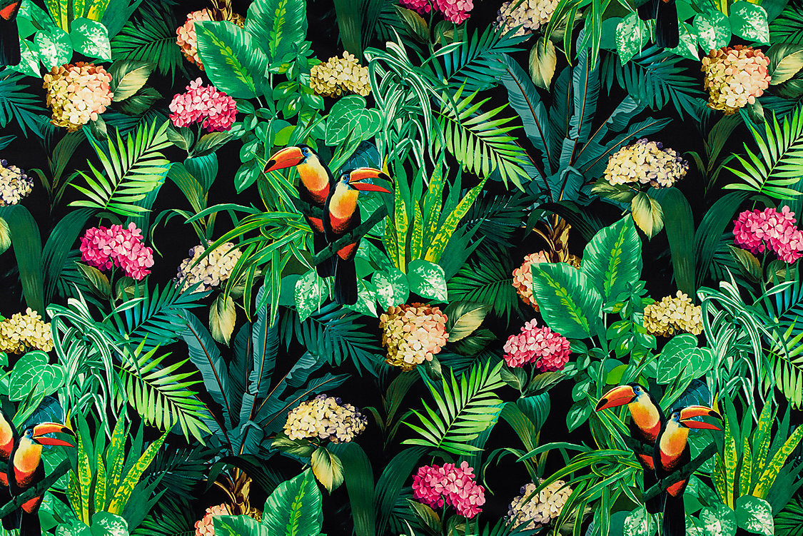 Blooming - Night Bloom - Scalamandre Fabric