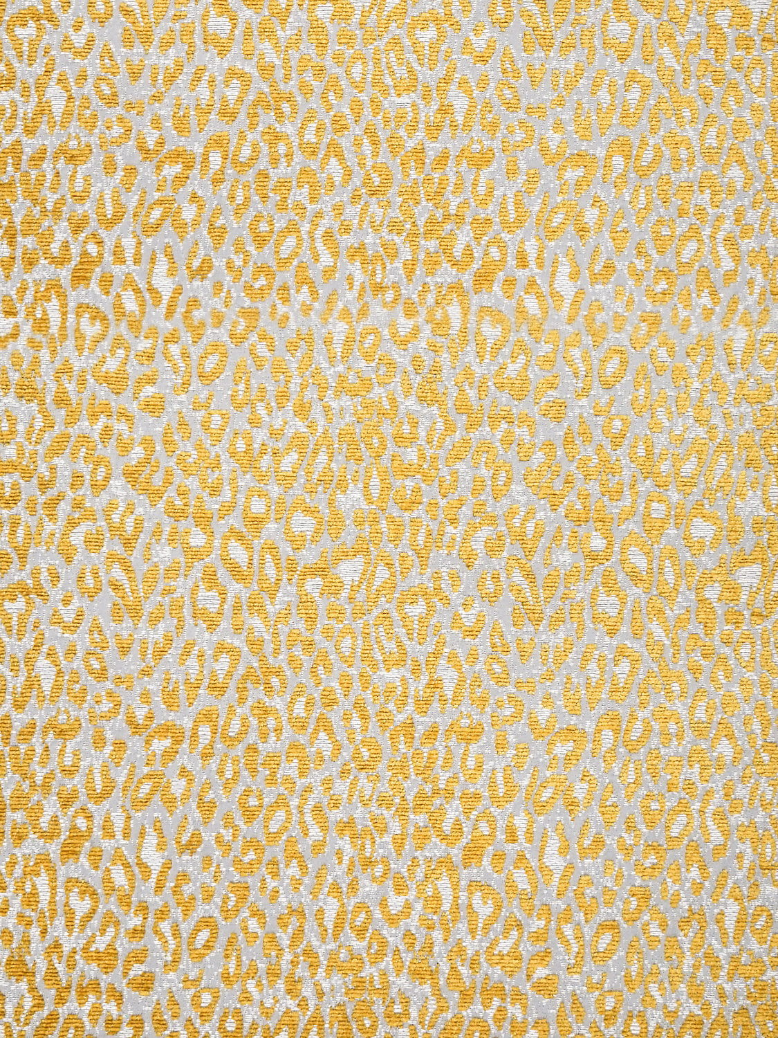 Leopard - Misted Yellow - Scalamandre Fabric