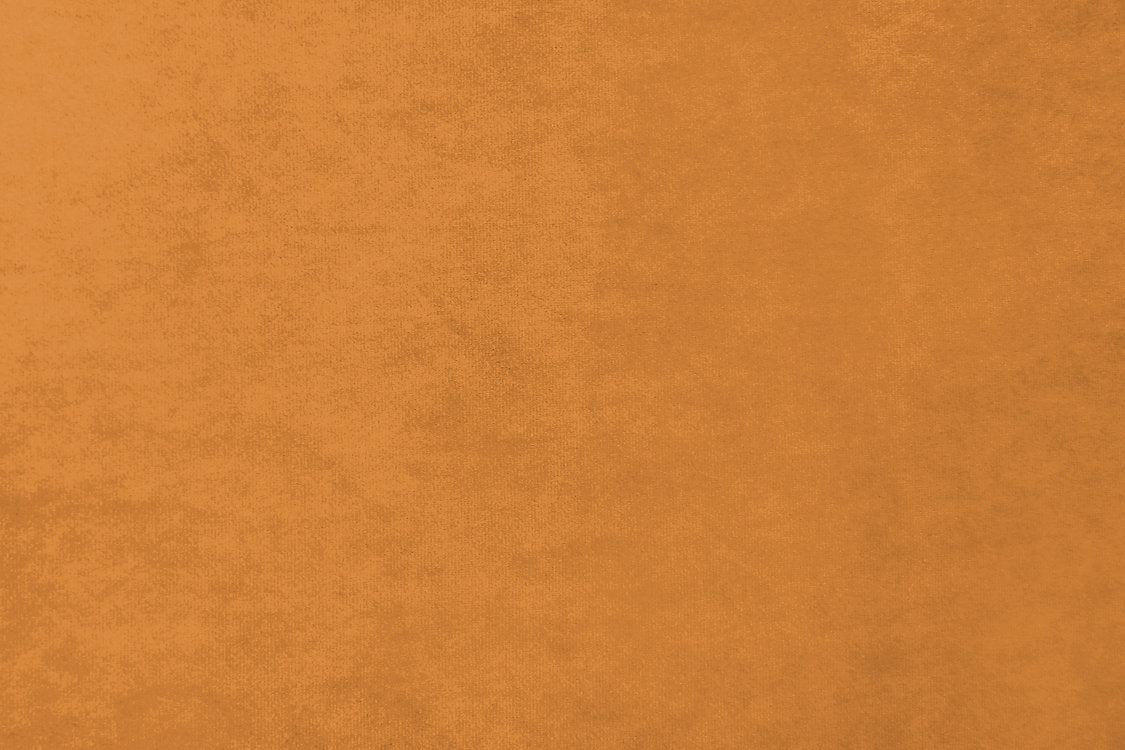 Project Water Repellent - Curry - Scalamandre Fabric