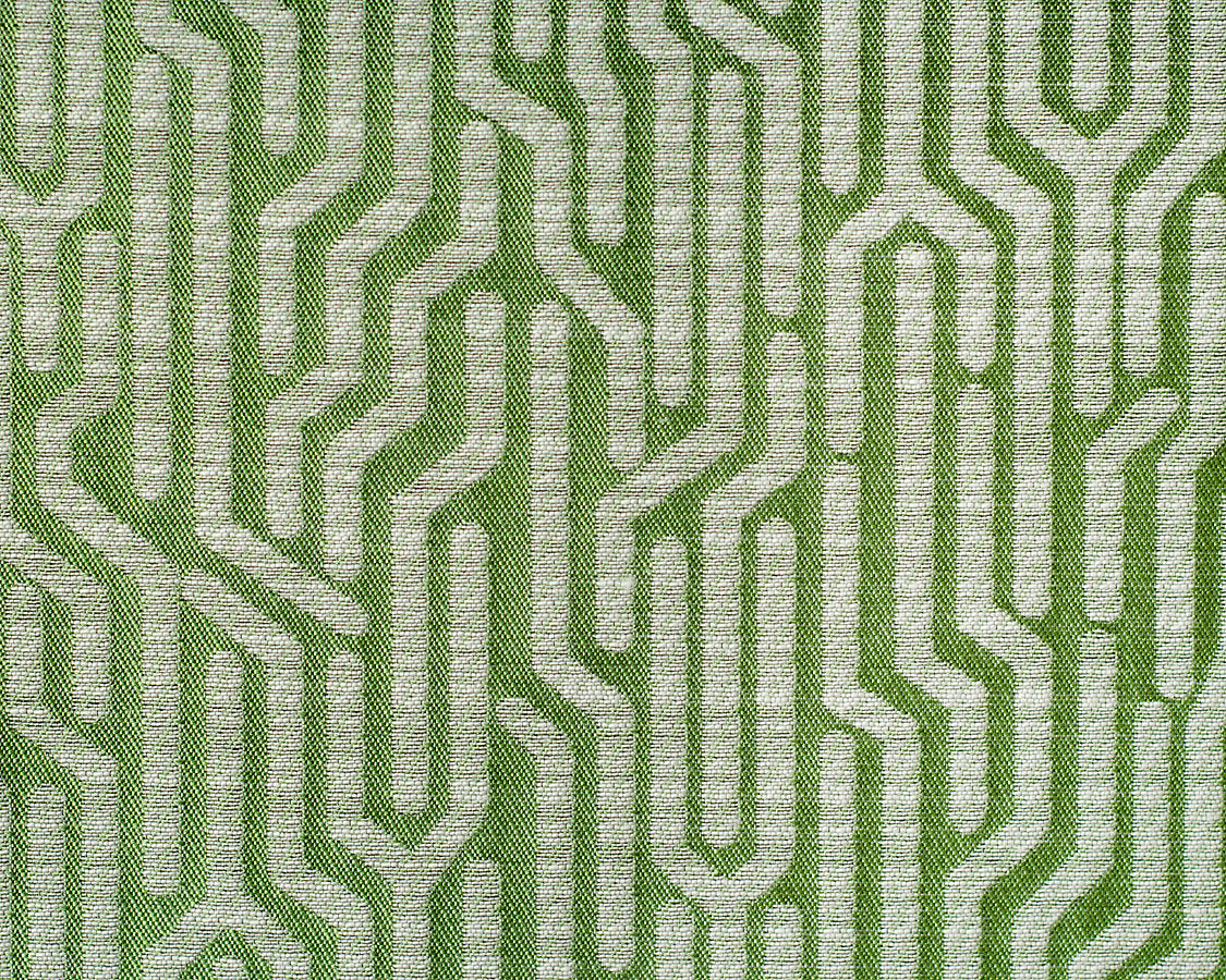 Tweeter - Greenery - Scalamandre Fabric