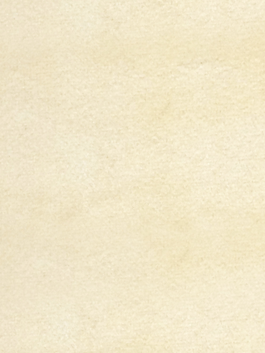 Sucesso | Wide Width Velvet - Desert Sand