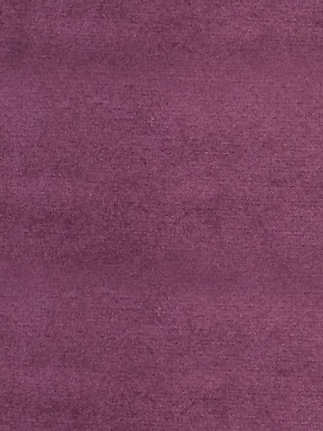 Sucesso | Wide Width Velvet - Deep Violet