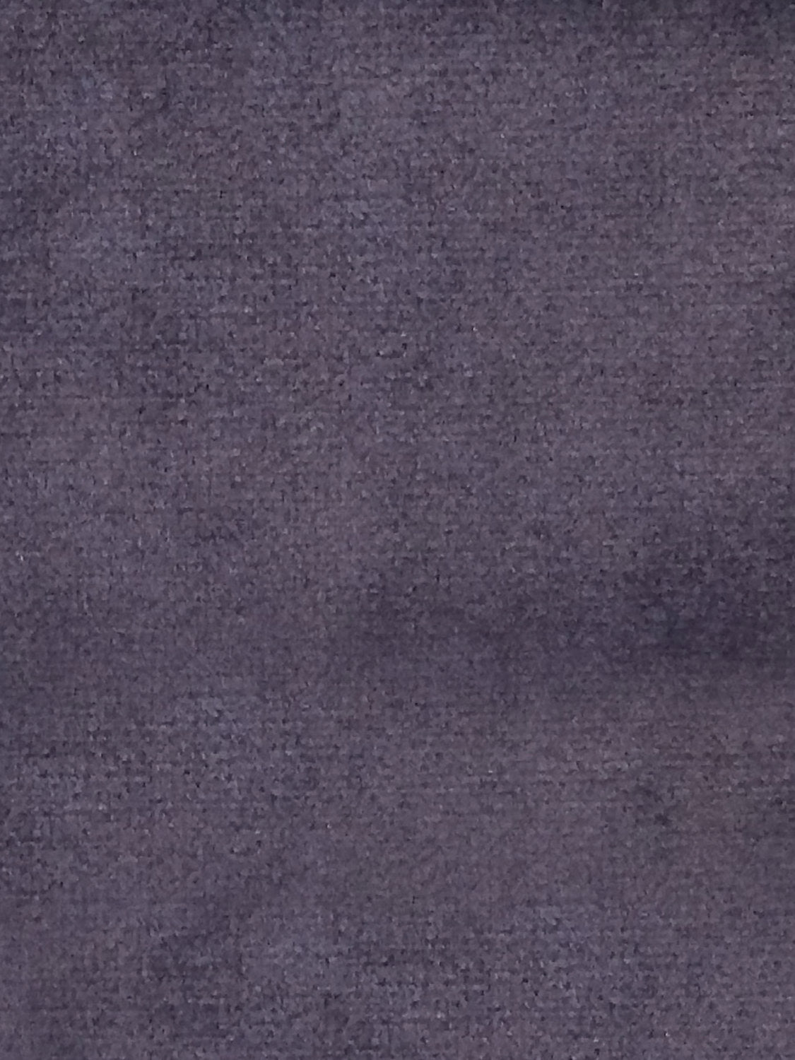 Sucesso | Wide Width Velvet - Deep Navy