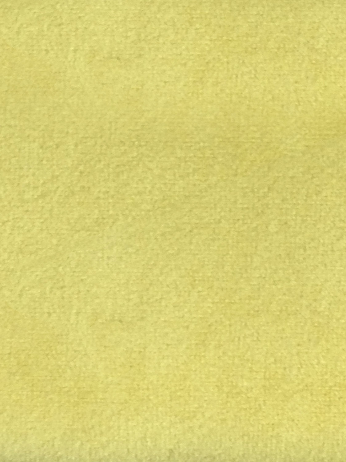 Sucesso | Wide Width Velvet - Lime