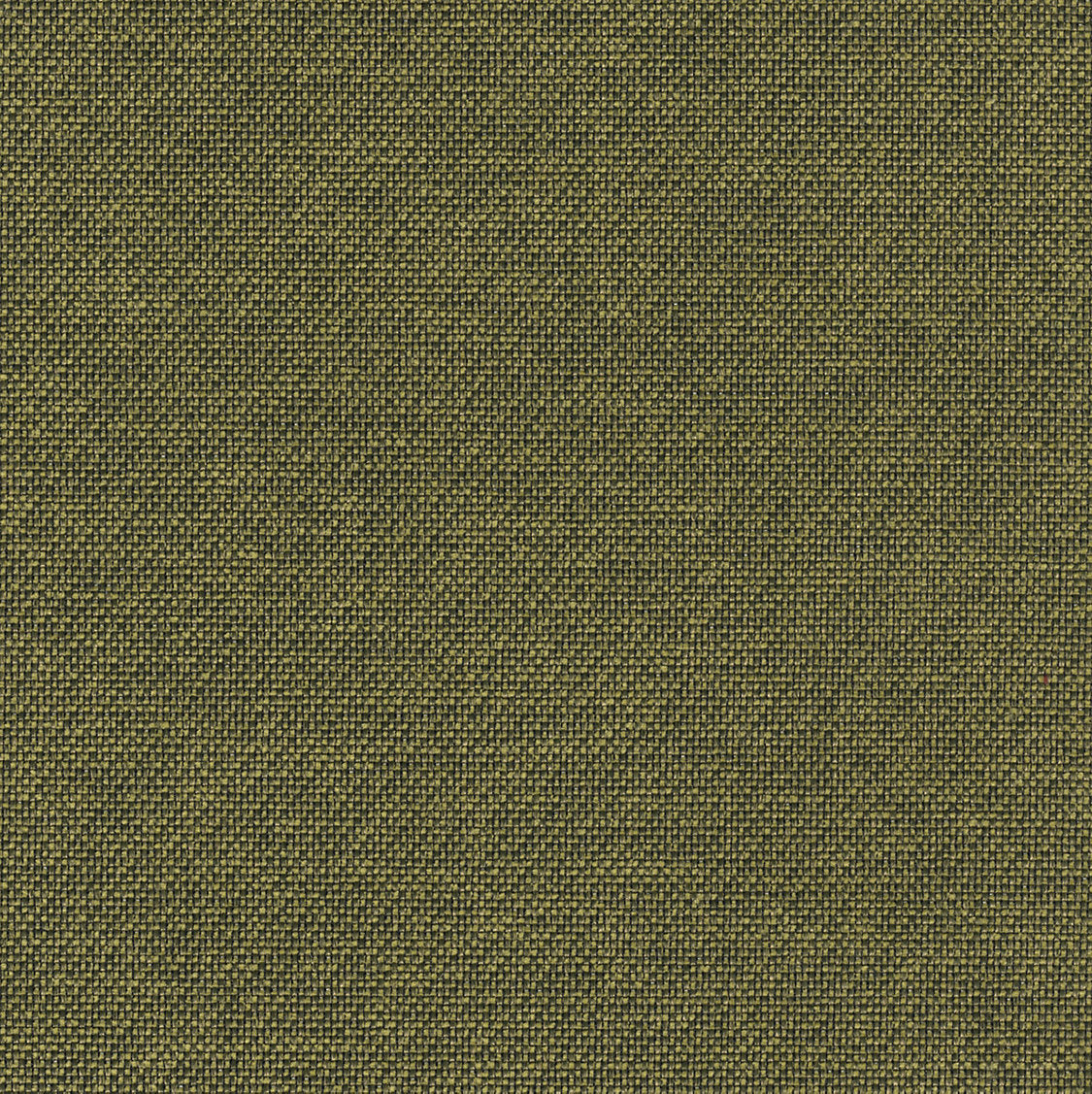 Slow - Pistacho - Scalamandre Fabric
