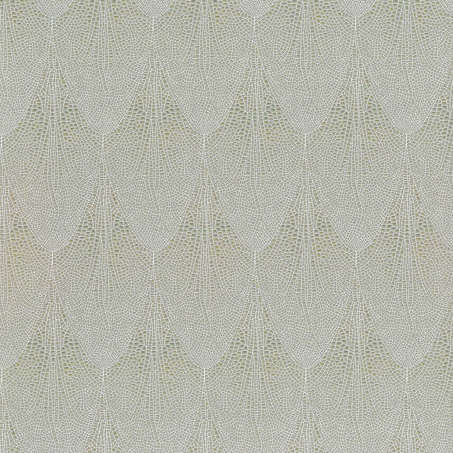 alis-ali-002-dobson-innovations