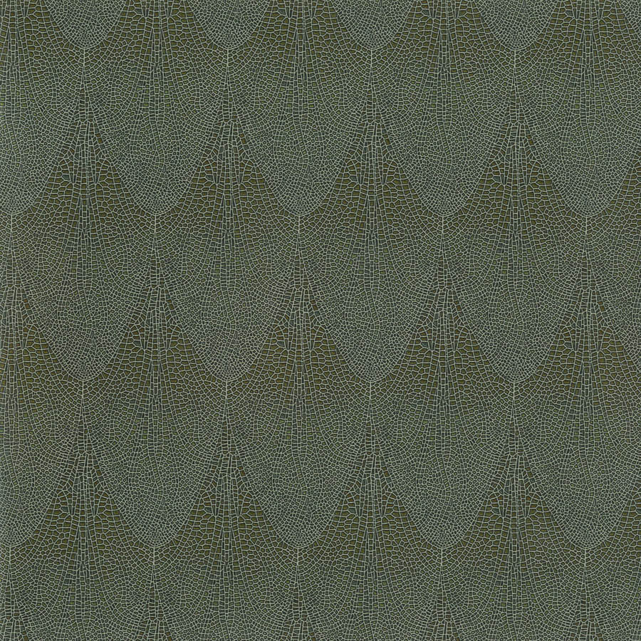 alis-ali-005-amberwing-innovations