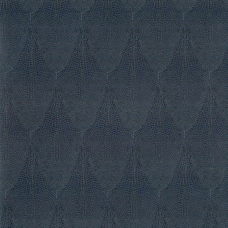 alis-ali-006-violet-dropwing-innovations