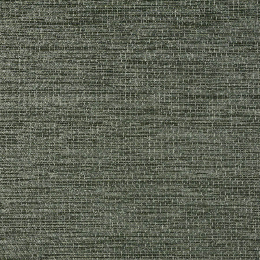 arpora-arp-013-velvet-bean-innovations