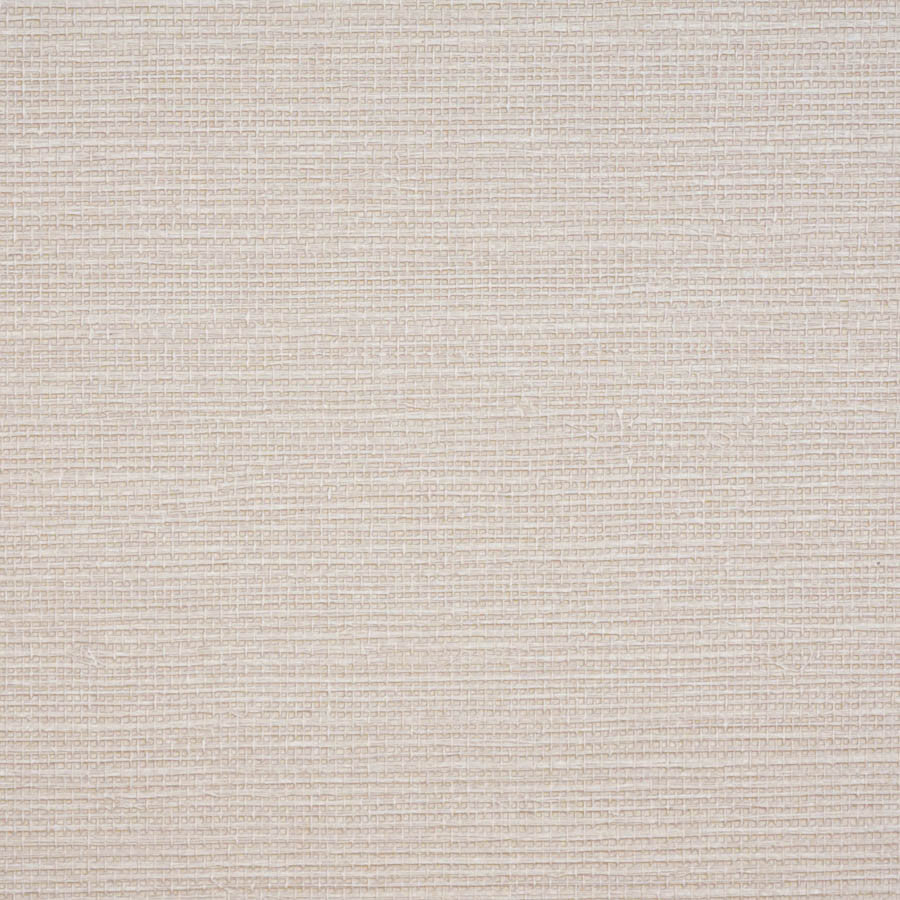 arpora-arp-022-carnation-innovations