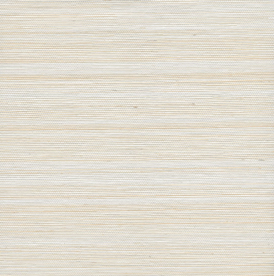 bahia-bha-01-sandy-innovations