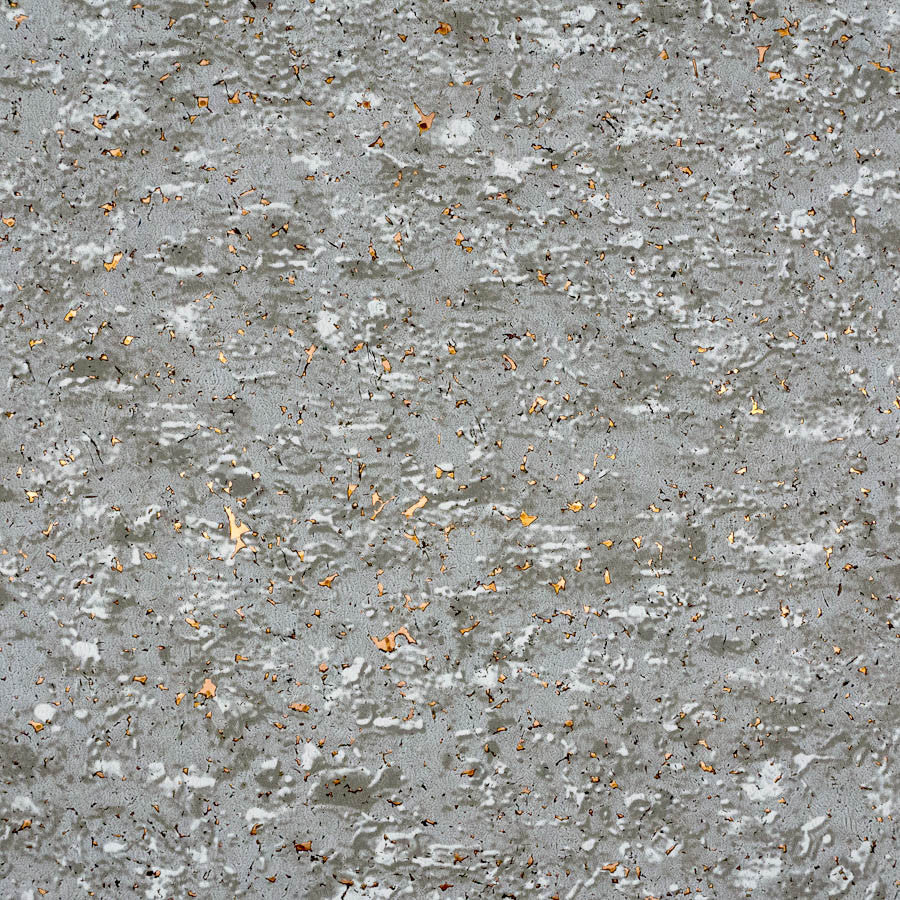 birchbark-bir-05-silver-innovations