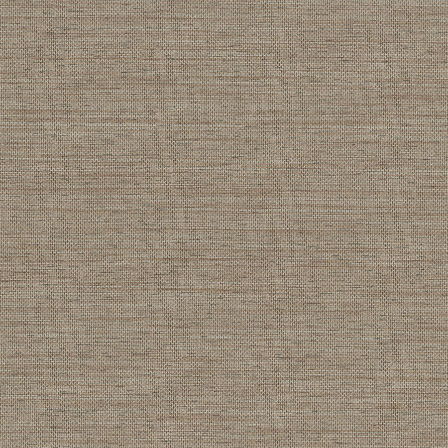 belmont-bmt-002-balboa-innovations