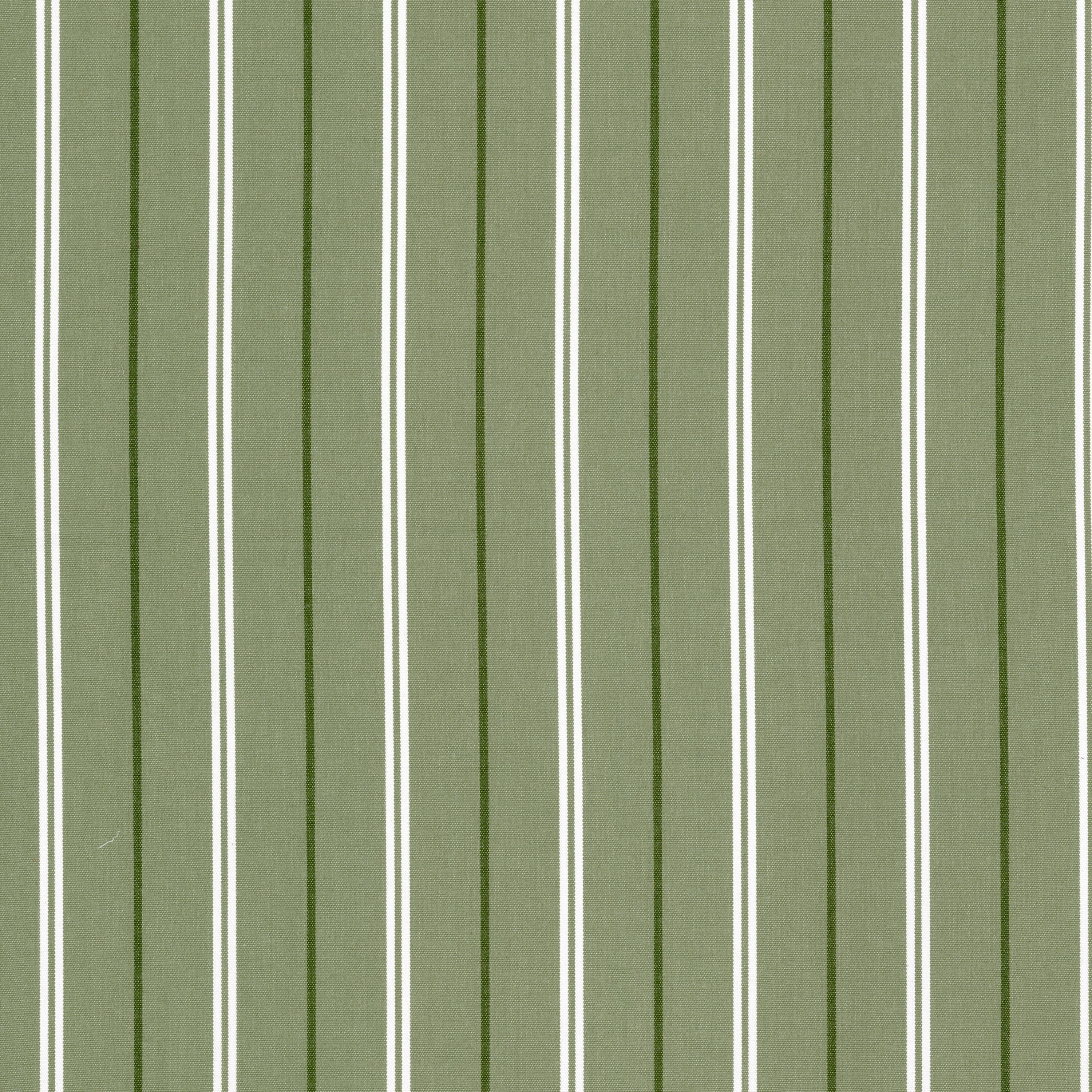 BORETTI-1-PISTACHIO-STOUT-TEXTILES - Stout Textiles Fabric