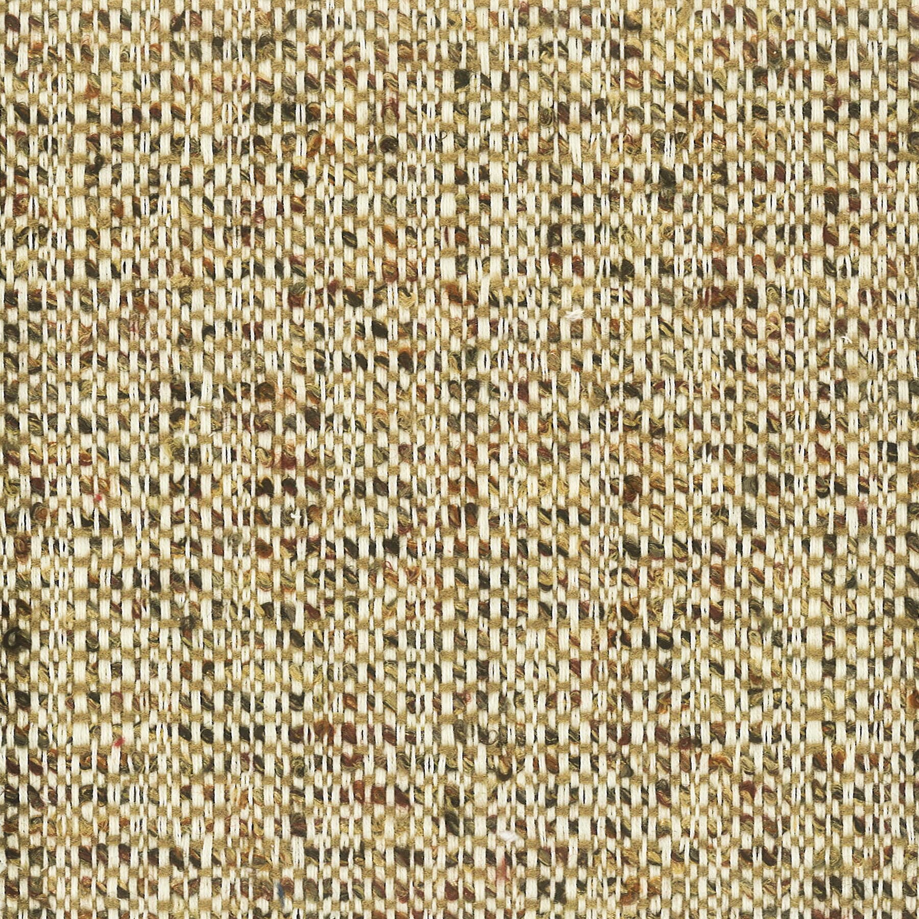 BRIDLE-2-ACORN-STOUT-TEXTILES