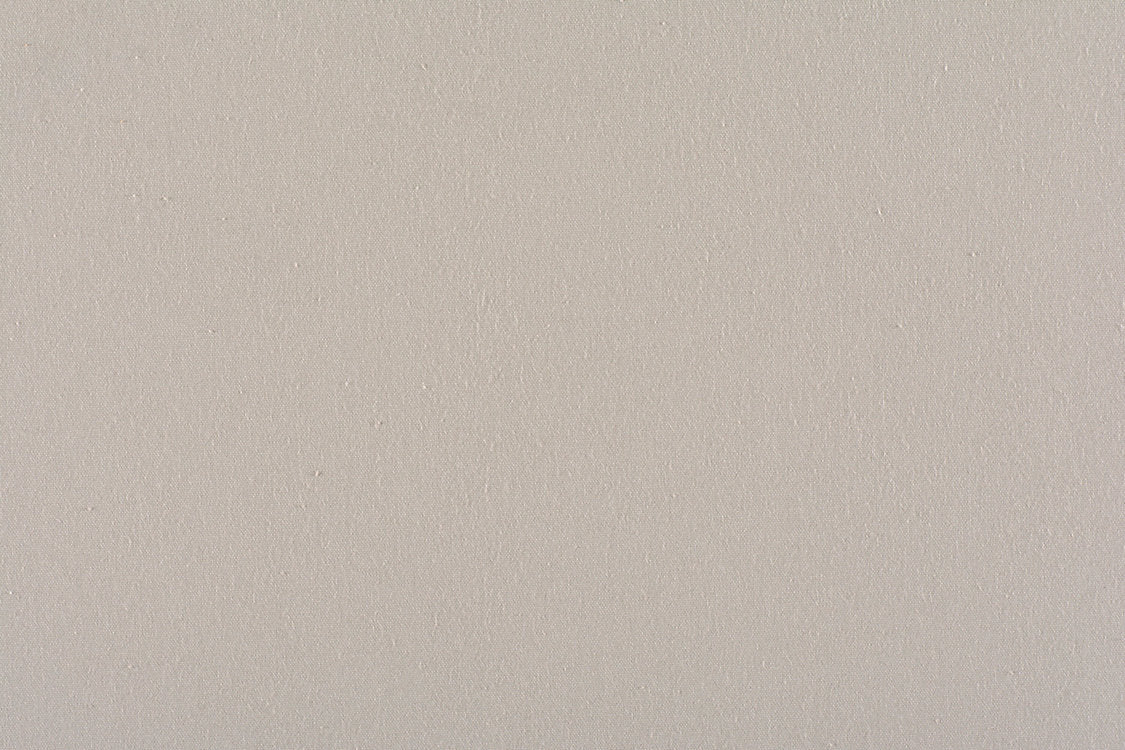 Canvas - Sterling - Scalamandre Fabric
