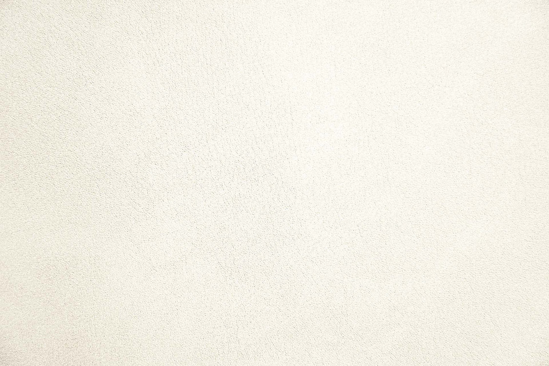 Palma - Coton - Scalamandre Fabric
