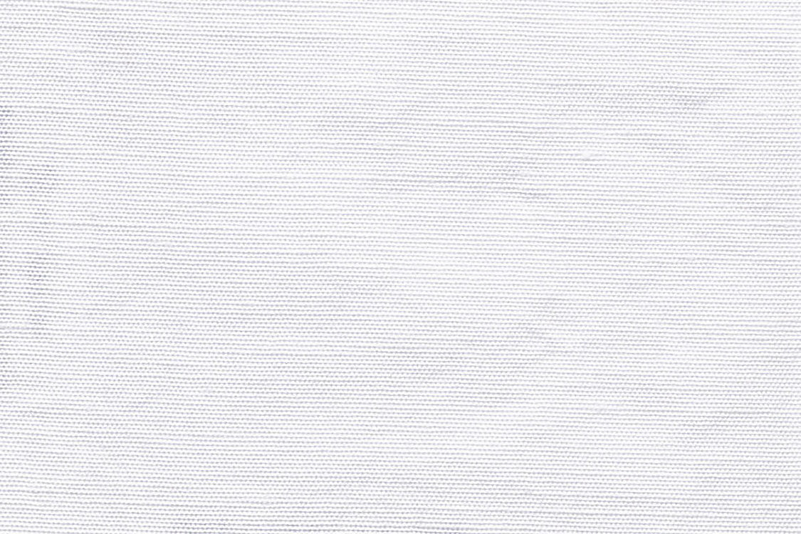 Beluna - Swan - Scalamandre Fabric