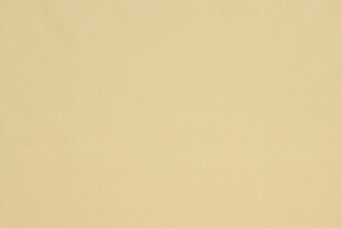 Jamila Ii - Buttercream