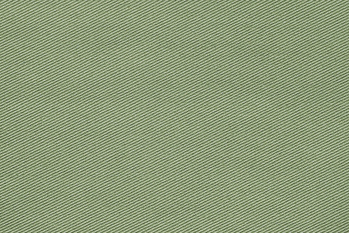 Kay Ii - Asparagus