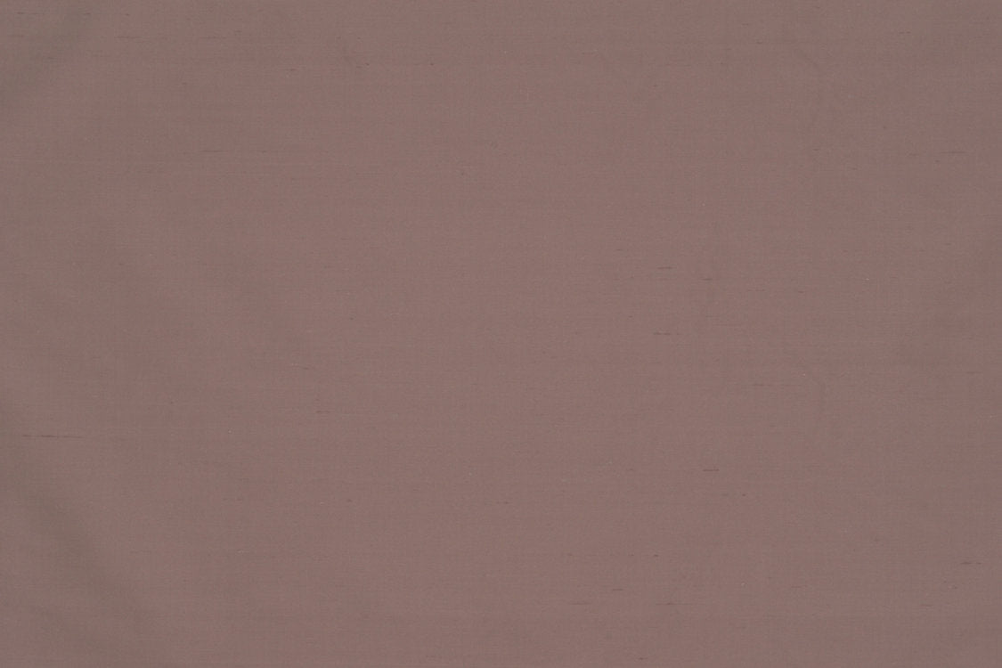 Jamila Ii - Tea Rose