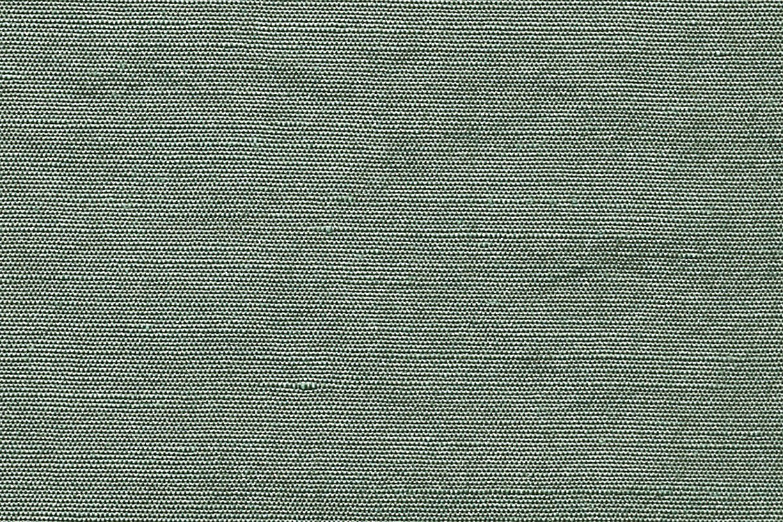Beluna - Cypress - Scalamandre Fabric