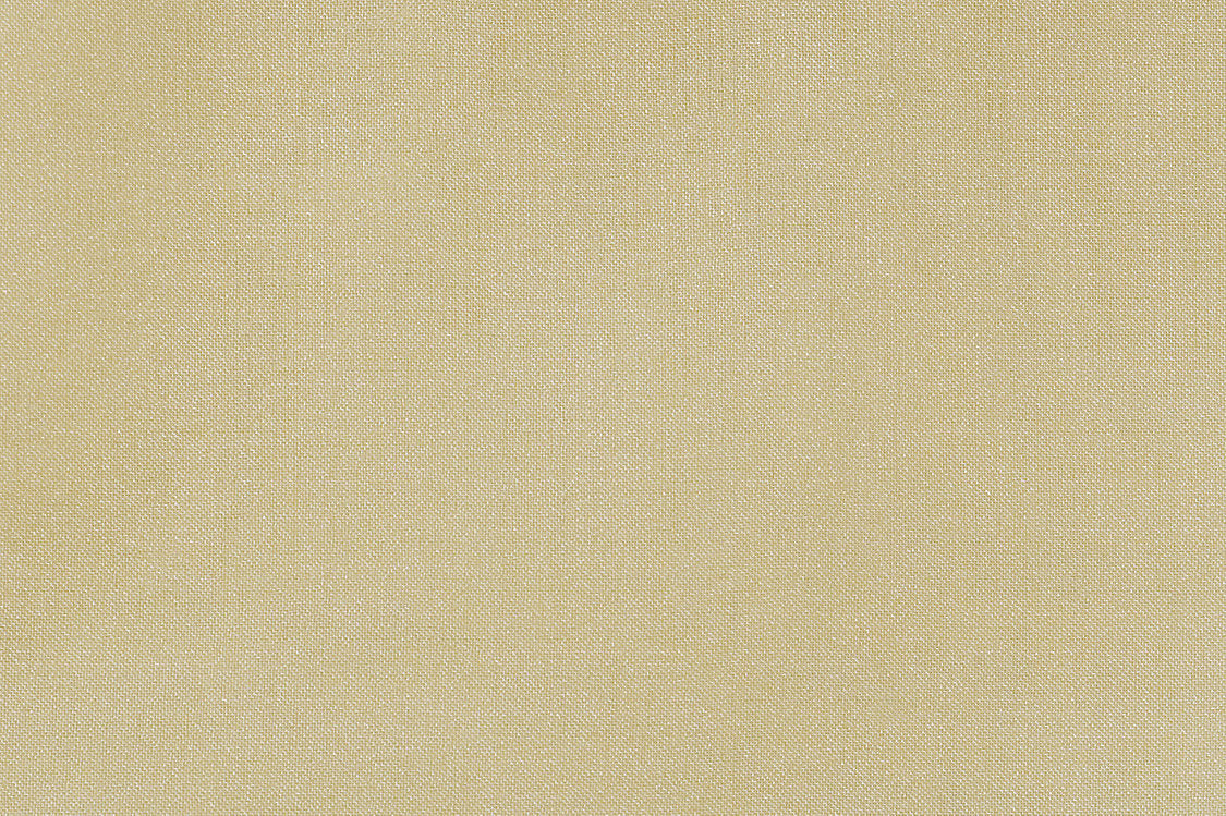Aramena - Creme Caramel - Scalamandre Fabric