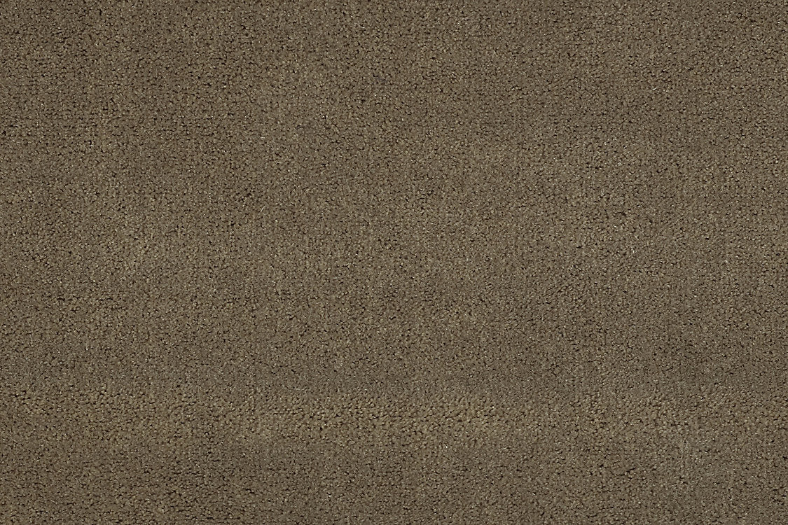 Apollodor - Mink - Scalamandre Fabric