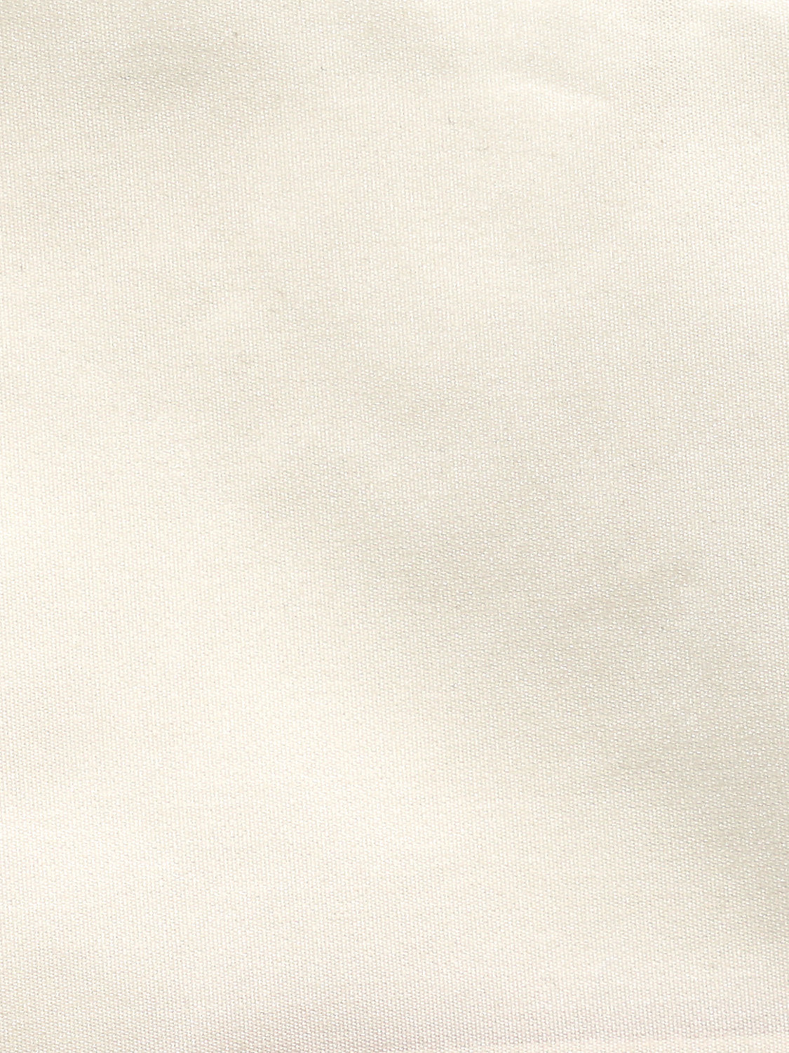 Taffeta Bs - Cream - Scalamandre Fabric
