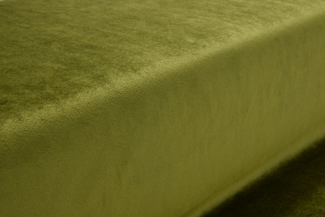 Vitus - Fern - Scalamandre Fabric